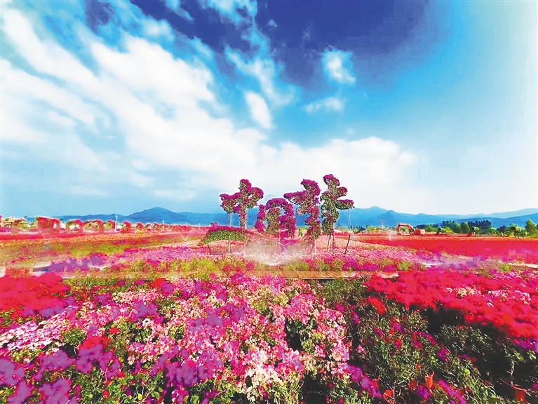 ϻĻ΅^(q)һǡ ^(q)D